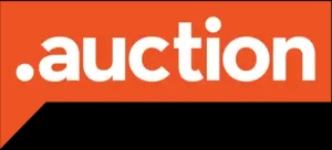 auction tld thumbnail